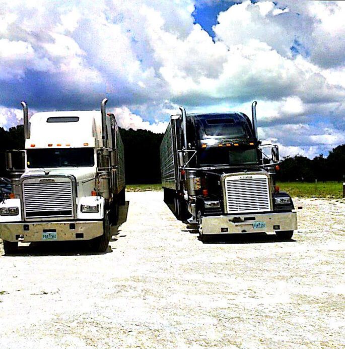 Intensive Training | Trucker Course